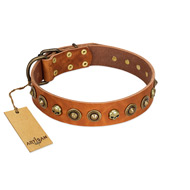 "Prez of the Pack" FDT Artisan Tan Leather American Bulldog Collar with Skulls and Brooches (image for) "Prez of the Pack" FDT Artisan Tan Leather American Bulldog Collar with Skulls and Brooches