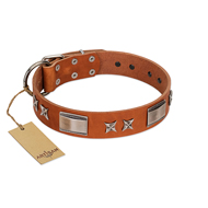 "Sweet Biscuit" FDT Artisan Tan Leather Dog Collar with Stars and Plates (image for) "Sweet Biscuit" FDT Artisan Tan Leather Dog Collar with Stars and Plates