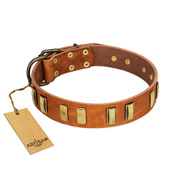 "Olive Slice" FDT Artisan Tan Leather American Bulldog Collar with Engraved and Smooth Plates (image for) "Olive Slice" FDT Artisan Tan Leather American Bulldog Collar with Engraved and Smooth Plates
