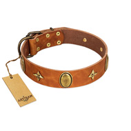 "Space Warrior" FDT Artisan Tan Leather American Bulldog Collar with Ovals and Stars (image for) "Space Warrior" FDT Artisan Tan Leather American Bulldog Collar with Ovals and Stars