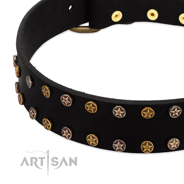 Unusual studs on natural leather collar for your canine