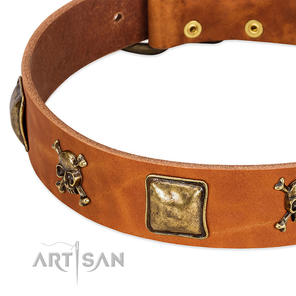 Extraordinary full grain genuine leather dog collar with corrosion resistant embellishments