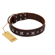 "Stellar Fairy " FDT Artisan Brown Leather American Bulldog Collar with Chrome-plated Star-like Decorations (image for) "Stellar Fairy " FDT Artisan Brown Leather American Bulldog Collar with Chrome-plated Star-like Decorations
