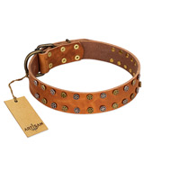 "Walk and Shine" FDT Artisan Tan Leather American Bulldog Collar with Antiqued Studs (image for) "Walk and Shine" FDT Artisan Tan Leather American Bulldog Collar with Antiqued Studs