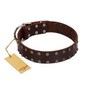 "Star Party" Handmade FDT Artisan Brown Leather American Bulldog Collar with Silver-Like Studs (image for) "Star Party" Handmade FDT Artisan Brown Leather American Bulldog Collar with Silver-Like Studs