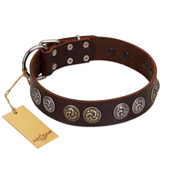 "Treasure Hunter" FDT Artisan Brown Leather American Bulldog Collar with Old-Bronze-like and Silvery Medallions (image for) "Treasure Hunter" FDT Artisan Brown Leather American Bulldog Collar with Old-Bronze-like and Silvery Medallions
