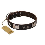 "Satin Beauts" FDT Artisan Brown Leather American Bulldog Collar with Stars and Plates (image for) "Satin Beauts" FDT Artisan Brown Leather American Bulldog Collar with Stars and Plates