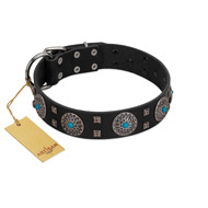 "Boundless Blue" FDT Artisan Black Leather American Bulldog Collar with Chrome Plated Brooches and Square Studs (image for) "Boundless Blue" FDT Artisan Black Leather American Bulldog Collar with Chrome Plated Brooches and Square Studs
