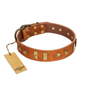 "Sand of Time" FDT Artisan Tan Leather American Bulldog Collar with Old Bronze-like Studs and Plates (image for) "Sand of Time" FDT Artisan Tan Leather American Bulldog Collar with Old Bronze-like Studs and Plates
