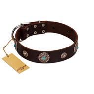 "Magic Stones" FDT Artisan Brown Leather American Bulldog Collar with Chrome Plated Brooches and Studs (image for) "Magic Stones" FDT Artisan Brown Leather American Bulldog Collar with Chrome Plated Brooches and Studs