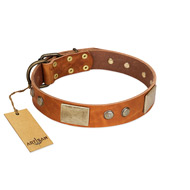 "Ancient Treasures" FDT Artisan Tan Leather American Bulldog Collar with Antiqued Plates and Studs (image for) "Ancient Treasures" FDT Artisan Tan Leather American Bulldog Collar with Antiqued Plates and Studs