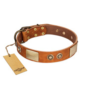 "Perfect Blend" FDT Artisan Tan Leather American Bulldog Collar 1 1/2 inch (40 mm) wide (image for) "Perfect Blend" FDT Artisan Tan Leather American Bulldog Collar 1 1/2 inch (40 mm) wide