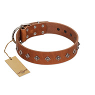 "Broadway" Handmade FDT Artisan Tan Leather American Bulldog Collar with Dotted Pyramids (image for) "Broadway" Handmade FDT Artisan Tan Leather American Bulldog Collar with Dotted Pyramids
