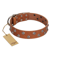 "Waltz of the Flowers" Handmade FDT Artisan Tan Leather American Bulldog Collar with Chrome-plated Engraved Studs (image for) "Waltz of the Flowers" Handmade FDT Artisan Tan Leather American Bulldog Collar with Chrome-plated Engraved Studs