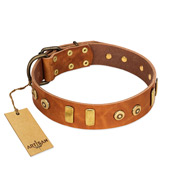 "Egyptian Script" FDT Artisan Tan Leather American Bulldog Collar with Plates and Small Studs (image for) "Egyptian Script" FDT Artisan Tan Leather American Bulldog Collar with Plates and Small Studs