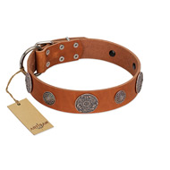 "Foxy Nature" FDT Artisan Tan Leather American Bulldog Collar with Chrome Plated Brooches (image for) "Foxy Nature" FDT Artisan Tan Leather American Bulldog Collar with Chrome Plated Brooches