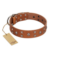 "Enchanted Skulls" FDT Artisan Tan Leather American Bulldog Collar with Chrome Plated Skulls (image for) "Enchanted Skulls" FDT Artisan Tan Leather American Bulldog Collar with Chrome Plated Skulls