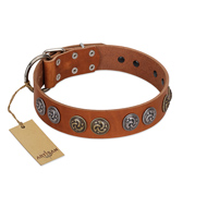 "Luxurious Life" Premium Quality FDT Artisan Tan Leather American Bulldog Collar with Round Adornments (image for) "Luxurious Life" Premium Quality FDT Artisan Tan Leather American Bulldog Collar with Round Adornments