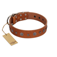 "Sweet Caramel" Designer FDT Artisan Tan Leather American Bulldog Collar (image for) "Sweet Caramel" Designer FDT Artisan Tan Leather American Bulldog Collar