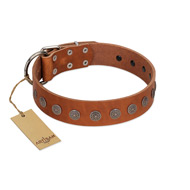 "Lucky Star" Handmade FDT Artisan Designer Tan Leather American Bulldog Collar with Round Plates (image for) "Lucky Star" Handmade FDT Artisan Designer Tan Leather American Bulldog Collar with Round Plates