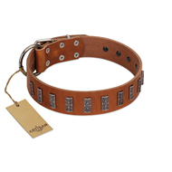 "Silver Century" Fashionable FDT Artisan Tan Leather American Bulldog Collar with Silver-Like Plates (image for) "Silver Century" Fashionable FDT Artisan Tan Leather American Bulldog Collar with Silver-Like Plates