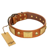 "Mutt The Daredevil" FDT Artisan Tan Leather American Bulldog Collar with Old Bronze-like Skulls and Plates (image for) "Mutt The Daredevil" FDT Artisan Tan Leather American Bulldog Collar with Old Bronze-like Skulls and Plates