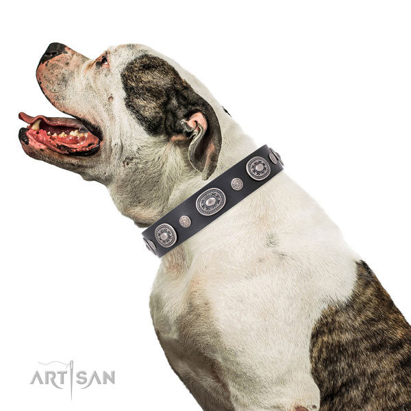 Corrosion resistant buckle and D-ring on leather dog collar for walking in style