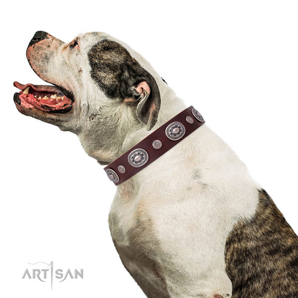 Durable buckle and D-ring on genuine leather dog collar for daily walking