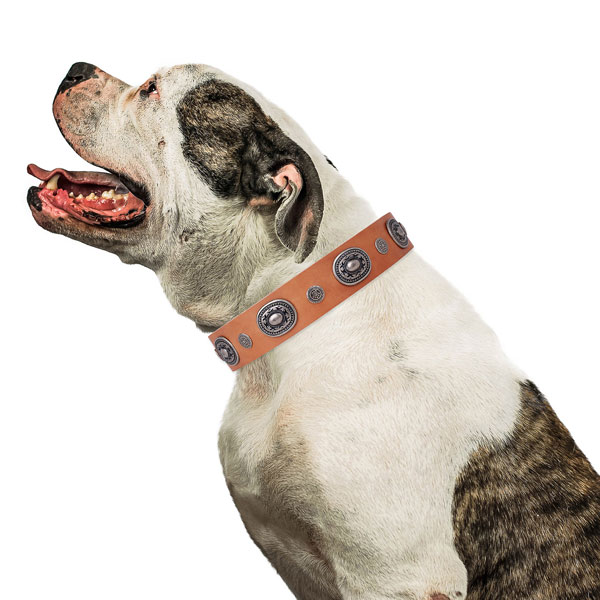 Natural leather dog collar with strong buckle and D-ring for stylish walking