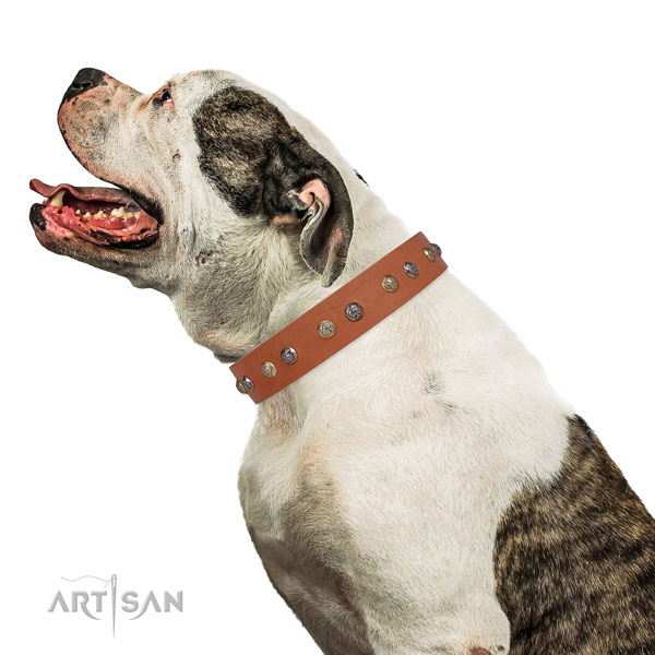 Full grain leather dog collar with rust resistant buckle and D-ring for comfortable wearing