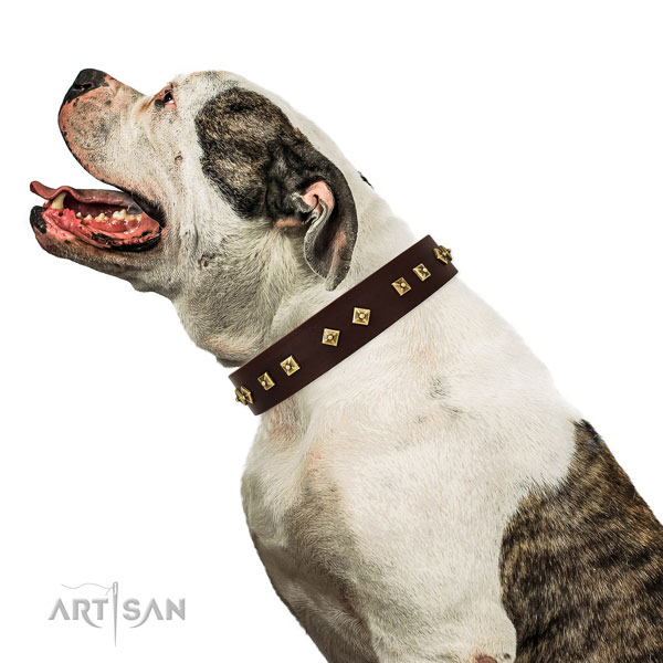 Exquisite decorations on everyday walking full grain natural leather dog collar