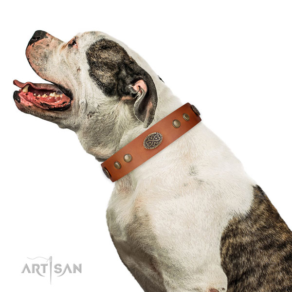 Corrosion resistant D-ring on leather dog collar for handy use