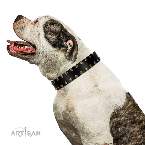 Inimitable full grain leather dog collar with corrosion proof decorations
