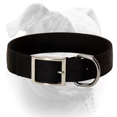 Durable Nylon Collar For Everyday Usage