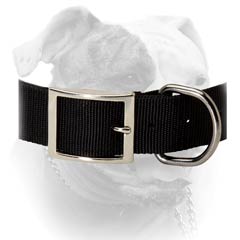Buckled Nylon Collar For American Bulldog
