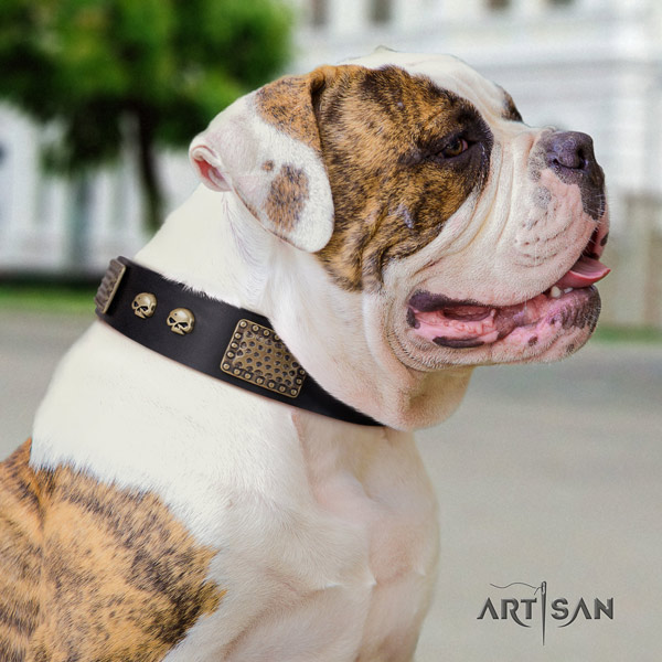 American Bulldog amazing genuine leather dog collar with decorations for comfy wearing