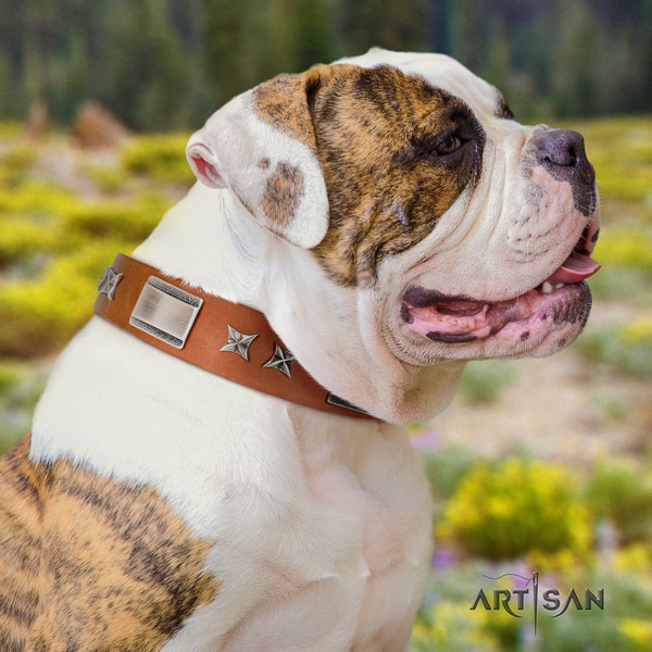 American Bulldog stylish design genuine leather dog collar with decorations for daily walking