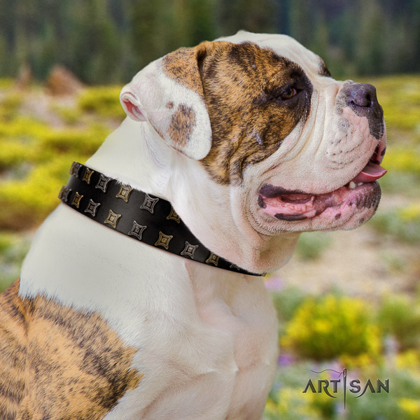 American Bulldog fancy walking full grain leather collar with stylish decorations for your dog