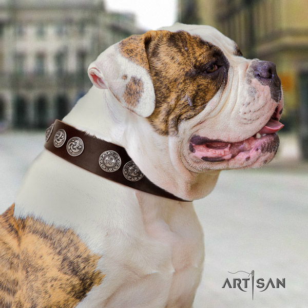 American Bulldog stylish walking genuine leather collar with stylish design decorations for your dog
