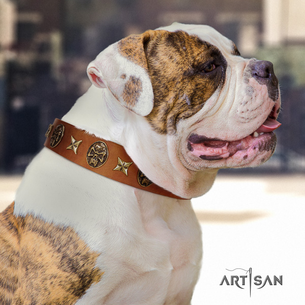 American Bulldog everyday use full grain natural leather collar with decorations for your doggie