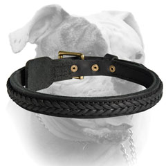 Elegant braids for leather American Bulldog collar