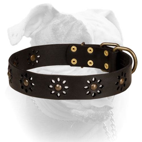 Leather American Bulldog collar with flower design