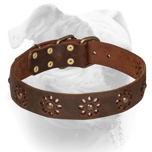 Leather American Bulldog collar with flower decoration
