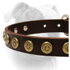 Original Decorative Leather Collar For American Bulldog