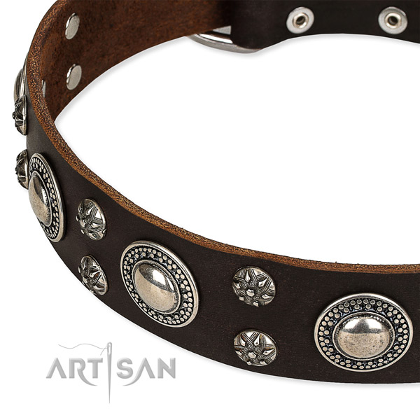 Quick to fasten leather dog collar with resistant to tear and wear durable buckle and D-ring