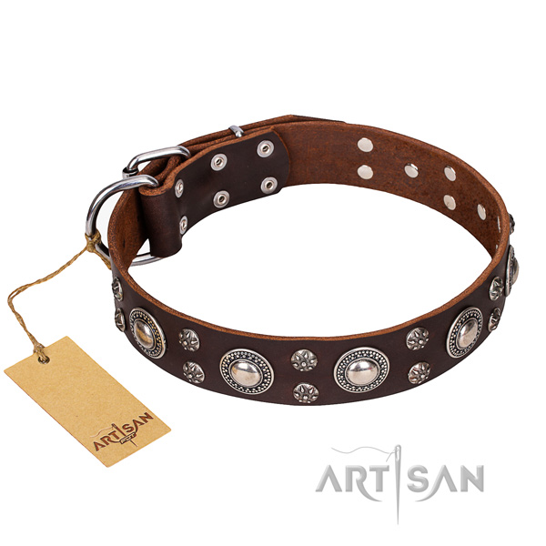 Long-lasting leather dog collar with riveted elements