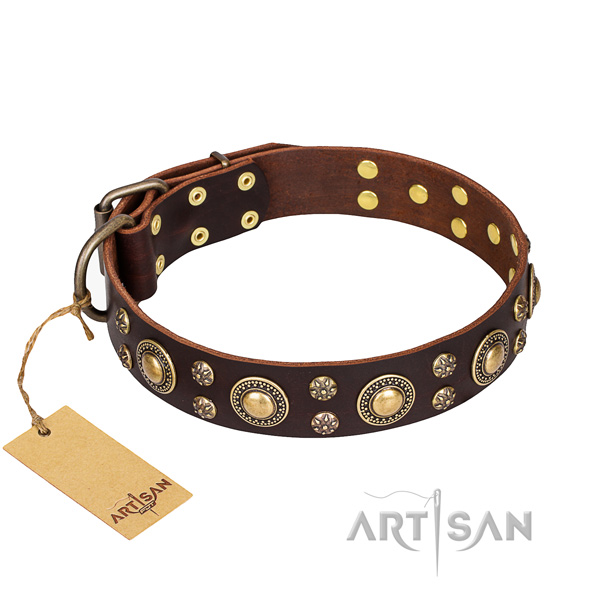 Unique leather dog collar for walking