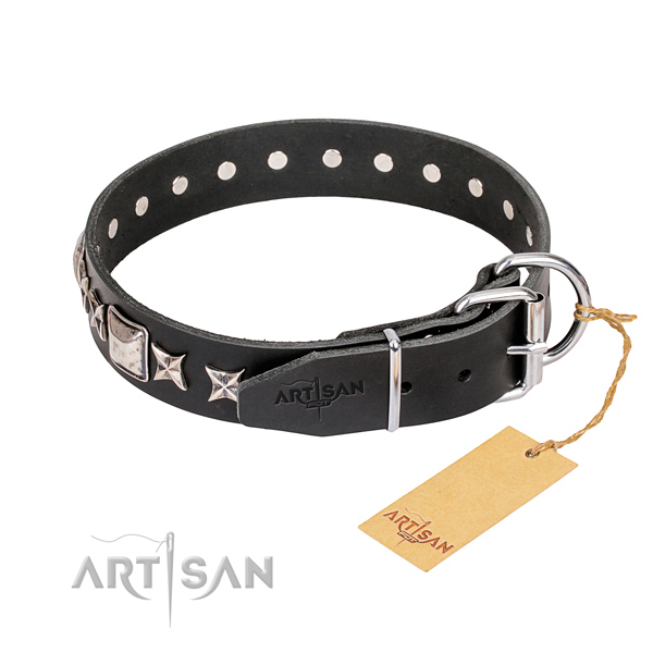 Daily walking full grain natural leather collar with embellishments for your dog