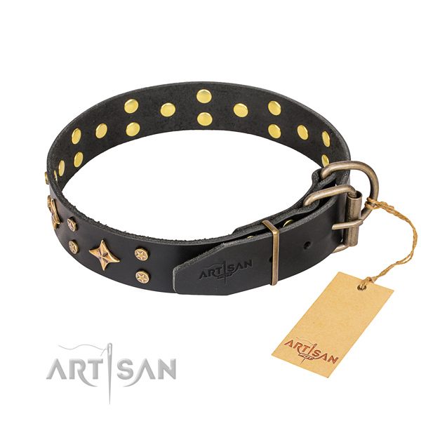 Daily use genuine leather collar with adornments for your dog