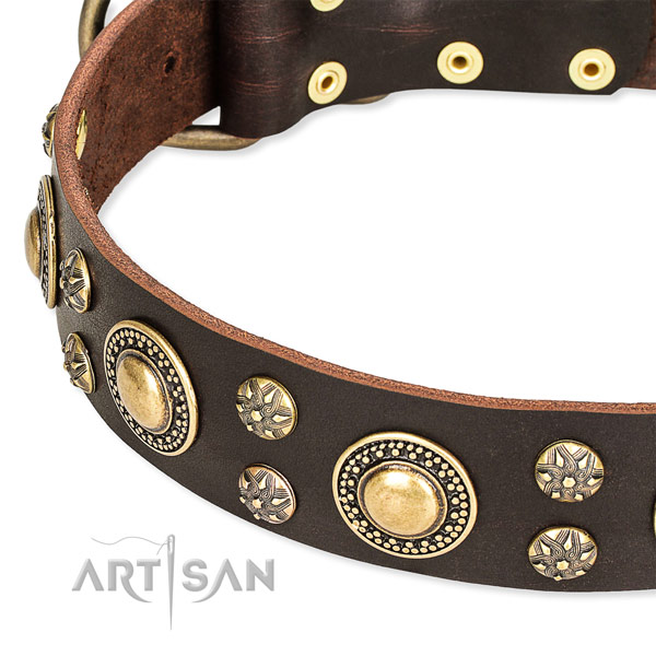 Leather dog collar with awesome decorations